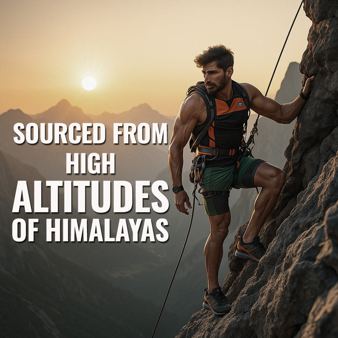 Himalyan Shilajit