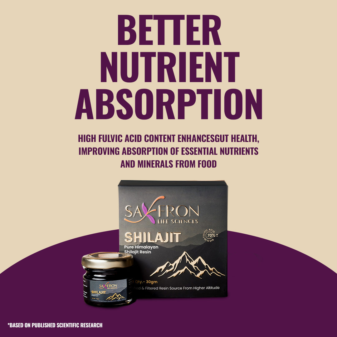 Himalyan Shilajit