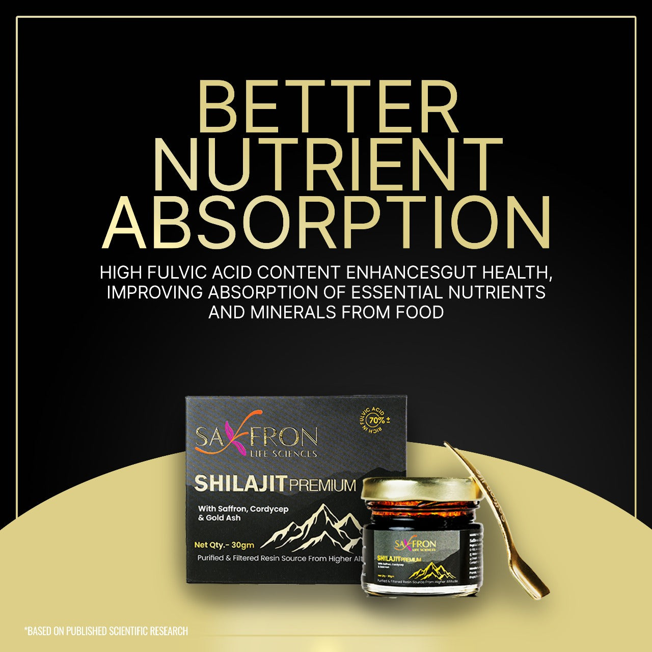 Himalyan Shilajit - Premium