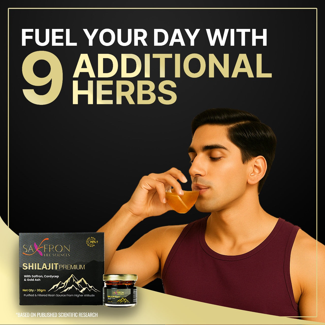 Himalyan Shilajit - Premium